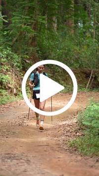 BIB:  <button type="button" onclick="openModal(26813683)" class="btn btn-primary btn-sm float-right" data-toggle="modal" data-target=".modal-high-quality">
                <i class="fa fa-download"></i> Download
                </button>